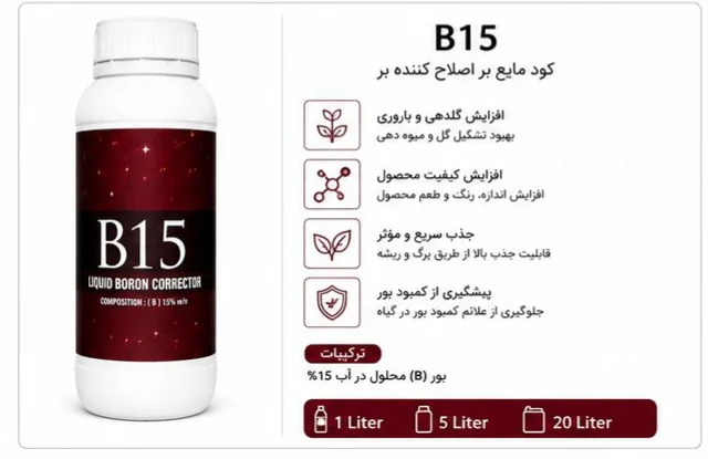 B%15